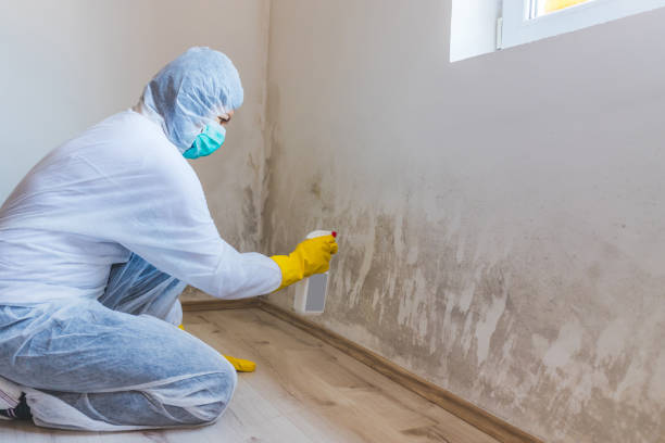 Bathroom Mold Removal assessment in Lexington bathroom
